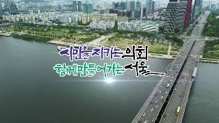 서울시의회 부활30주년 홍보영상(4분)