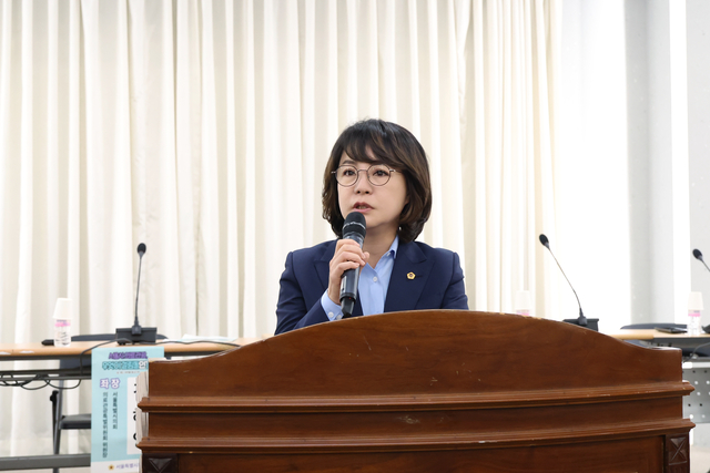 서울시 의료관광 무엇이 걸림돌인가 토론회