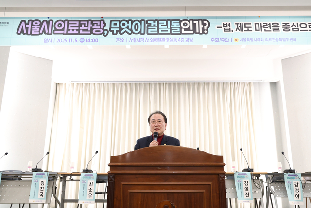 서울시 의료관광 무엇이 걸림돌인가 토론회