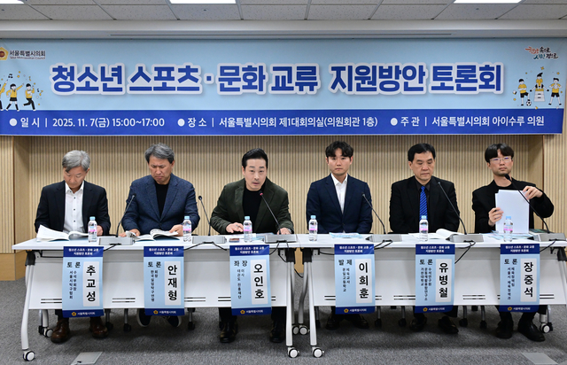 청소년 스포츠 문화 교류 지원방안 토론회