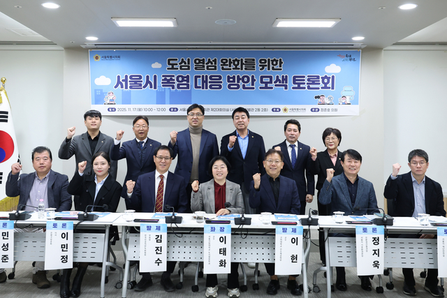 도심 열섬 완화를 위한 서울시 폭염 대응 방안 모색토론회