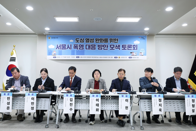 도심 열섬 완화를 위한 서울시 폭염 대응 방안 모색토론회